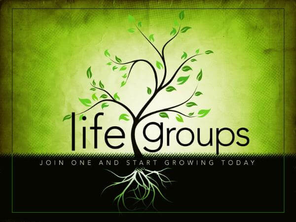 Life Groups banner